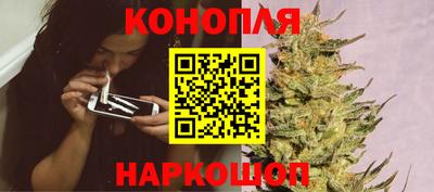 spice Кунгур