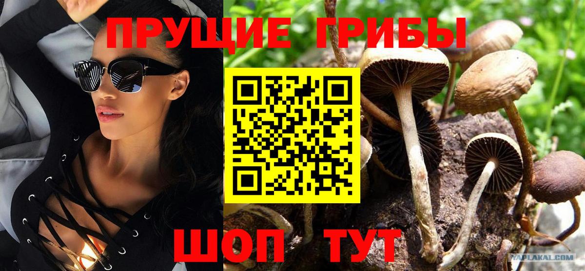 Галлюциногенные грибы ЛСД Златоуст